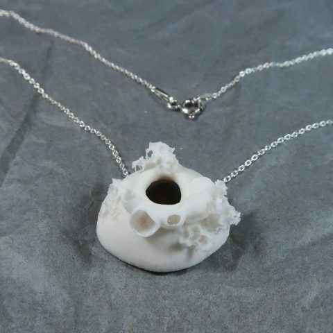 ZOID - CHIARELLI VANINA