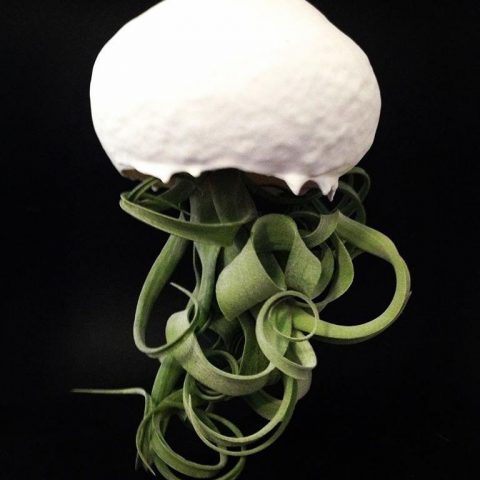 VIRGINIE DELEPIERRE CERAMIQUE