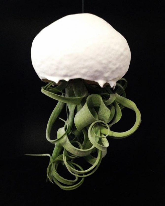 VIRGINIE DELEPIERRE CERAMIQUE