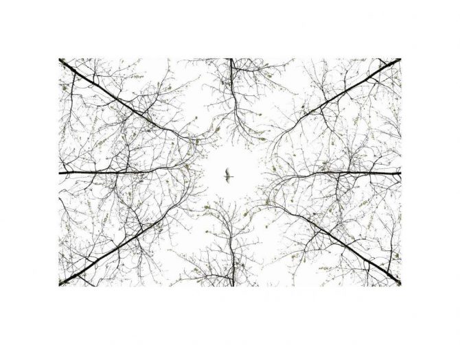 FABIEN DUBESSY - PHOTOGRAPHE NATURE